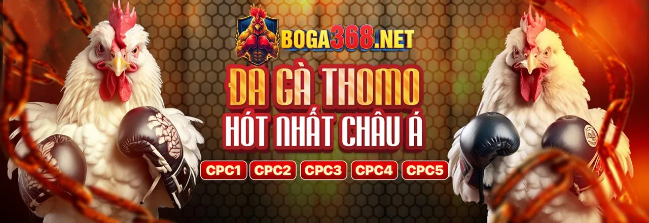 Đá gà trực tuyến bong8899 net