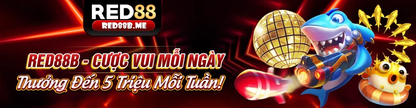 Hình ảnh minh họa phần câu hỏi thường gặp của bong8899 net