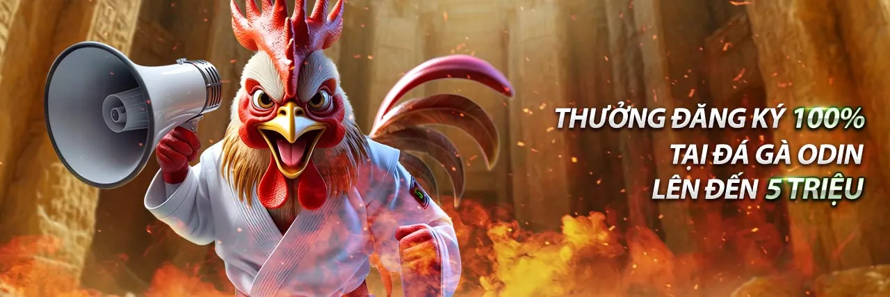 Ưu đãi và khuyến mãi hấp dẫn